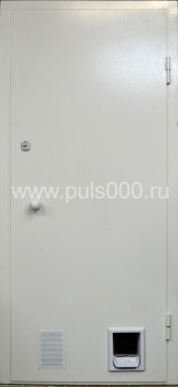 Входные двери со входом для животных DG21, цена 25 000  руб.