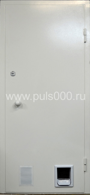 Входные двери со входом для животных DG21, цена 25 000  руб.
