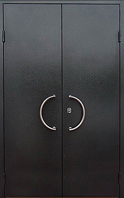 Металлическая техническая дверь TEH-974 порошковое напыление, цена 10 700  руб.