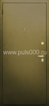 Входная дверь с порошковым покрытием PR-28, цена 20 000  руб.