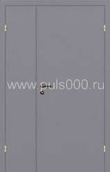 Тамбурная стальная дверь ТМ-2-1 порошковое напыление, цена 17 000  руб.