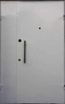 Тамбурная металлическая дверь ТМ-1073 с порошковым напылением