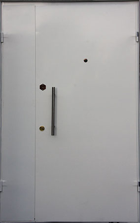 Тамбурная металлическая дверь ТМ-1073 с порошковым напылением, цена 17 000  руб.