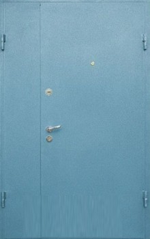 Металлическая тамбурная дверь на площадку ТМ-1076 отделка порошковым напылением