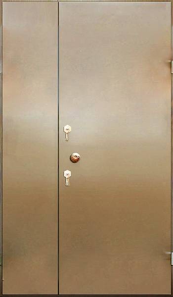 Железная тамбурная дверь ТМ-1077 порошковое напыление, цена 18 000  руб.