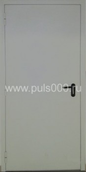 Железная противопожарная дверь ПР-674 покрас нитроэмалью, цена 13 000  руб.